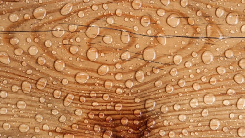 Waterproof Ply | Gurjone