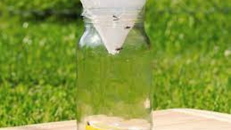 Global Flies Repellent Market 2022 - Top Key Players Analysis Report Till 2028