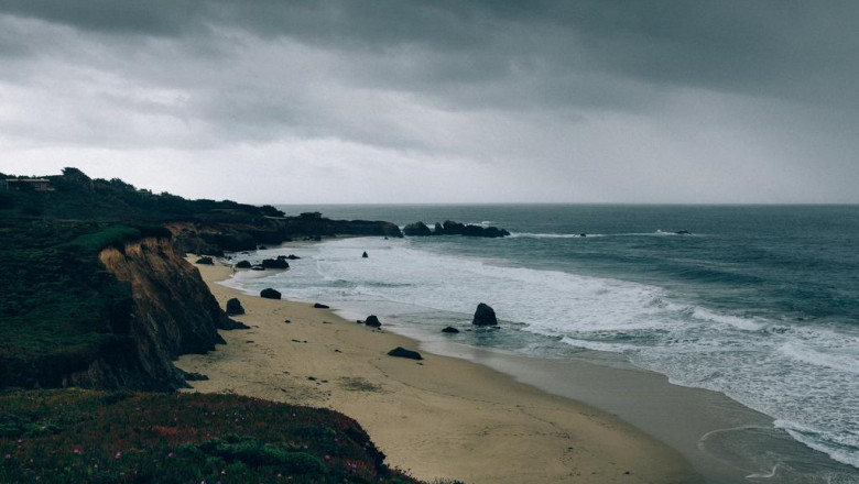 how to travel to the the surface of the marketing food chain
