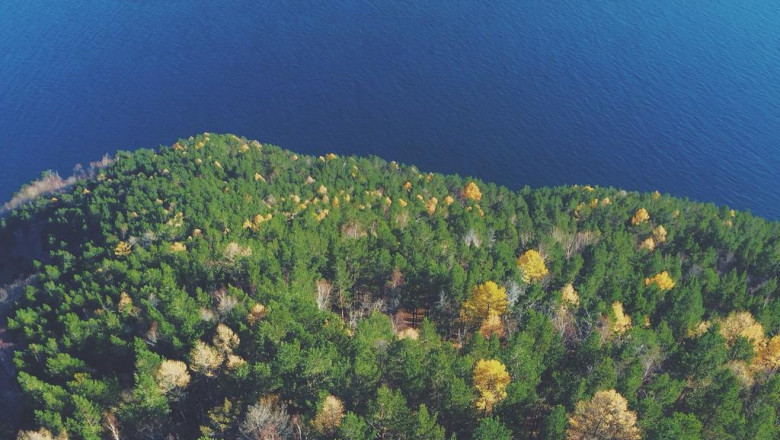 koi catch sale getting the proper one for you personally personally