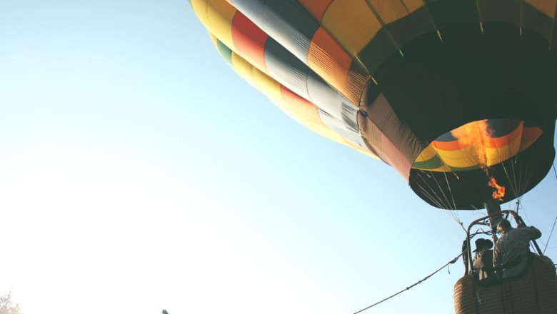 marketing gurus will you need one