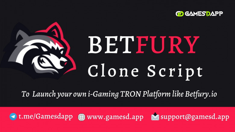 Be a part of the i-gaming platform by betfury clone software