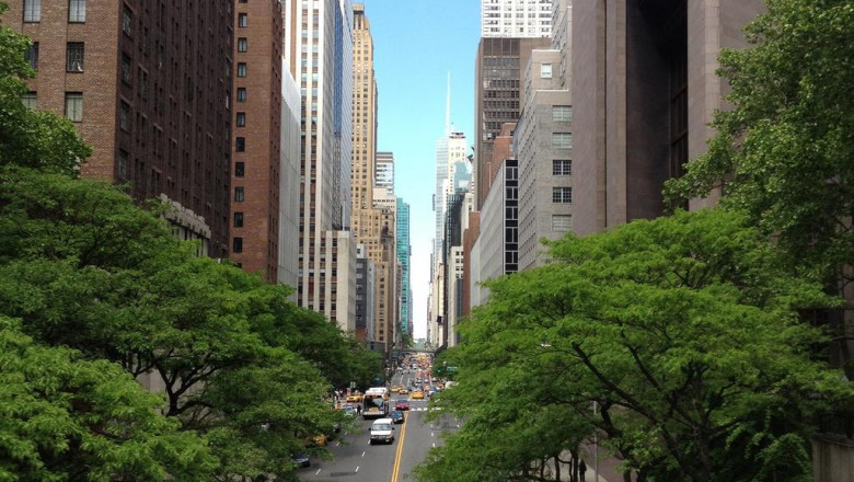 mouthtomouth resuscitation manikins mouthtomouth resuscitation dummies