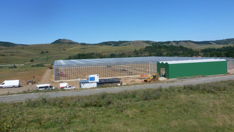 STP culture manufacturer in India: A case study