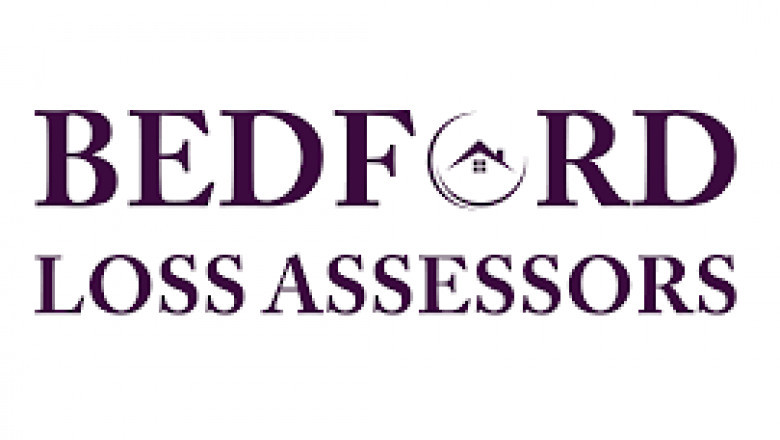 The Insurance Assessor