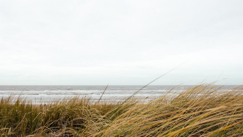 a beginners guide to dining table and chairs for small spaces