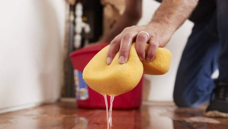 Rewards of Professionally Carpet Cleaning