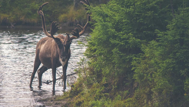 taking time off for your company