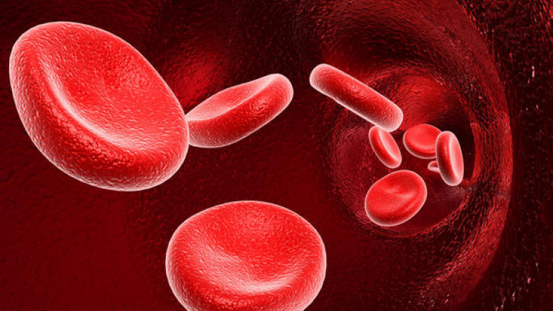 Blood Thinner Market Statistics 2022 | Size, Demand and Revenue by 2030