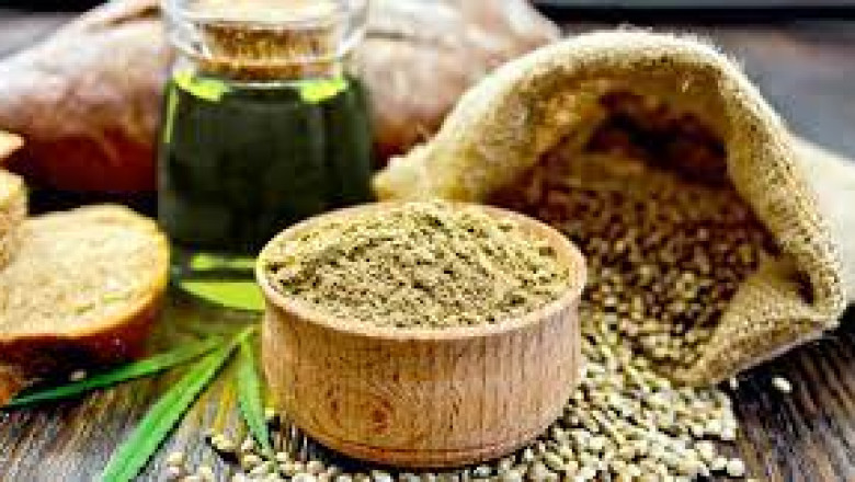 Hemp-Based Food Market 2022 Major Key Players and Industry Analysis Till 2028