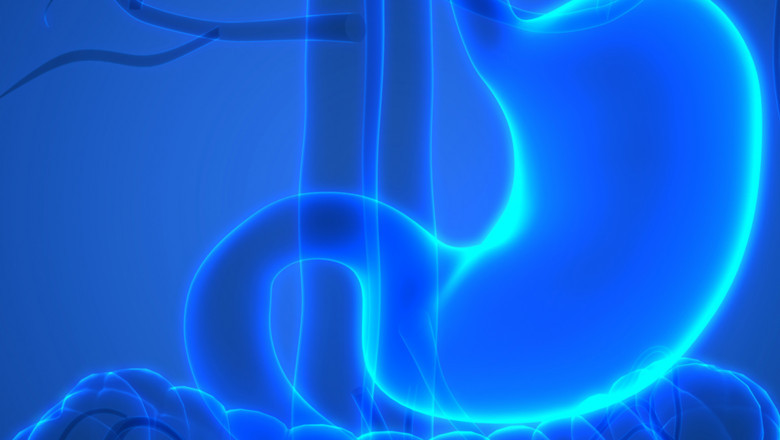 Lower GI Series Market, Industry Trends, Share, Size, Growth, Opportunity and Forecast 2022-2030