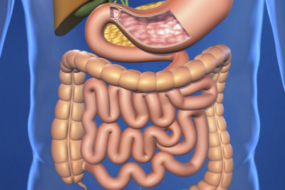 Malabsorption Syndrome Market 2022 to 2030 - by Service Model, Enterprise Size