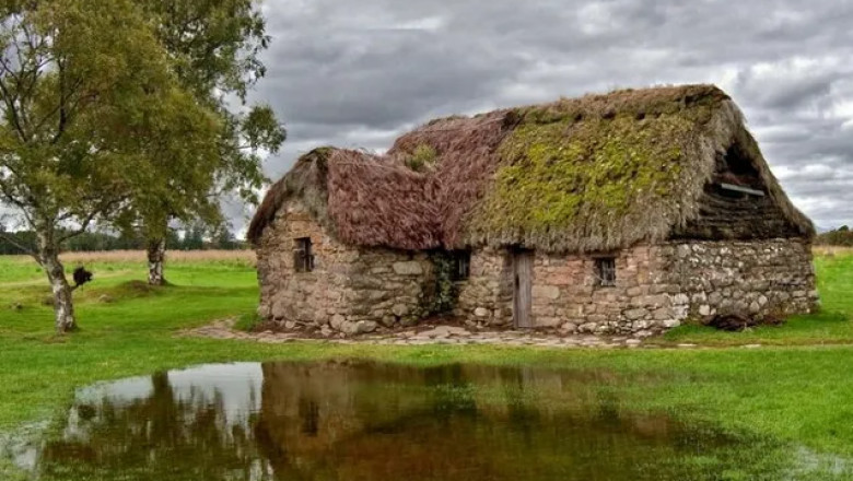 Battlefield Relic, The Only Witness Left Standing to the Battle of Culloden | ItsHistoria