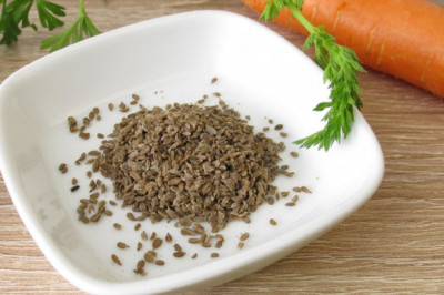 Carrot Seed Market 2022 Trends, Share & Forecast Report to 2028