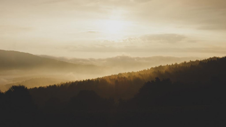 five simple tips to obtain organized in todays market