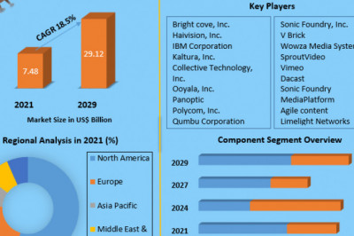 Global Video Streaming Software Market Key Vendors Demand, Future Trends and Industry Growth Research Report 2029