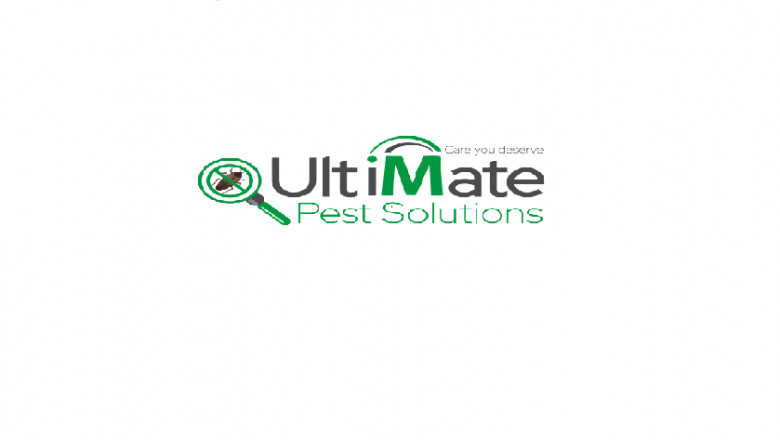 Local Bedbug Exterminator Services in Toronto