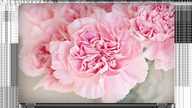 Time To Change Old And Boring Laptop Skins