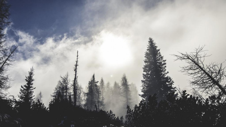 what is an oxygen generator
