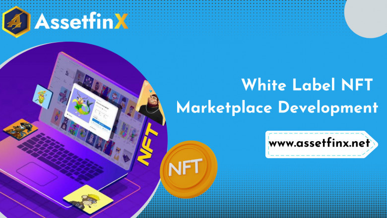 How to create a lucrative White labelNft marketplace: