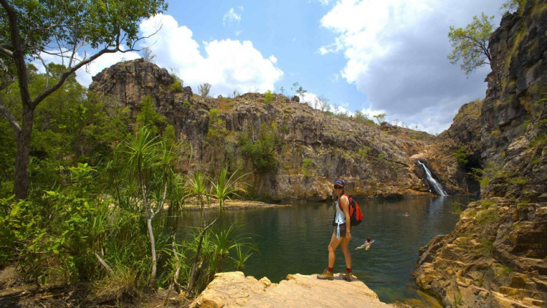 Must Know Local Fruit and Veggies Of Kakadu