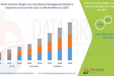 North America Weight Loss and Obesity Management Market Size & Growth | Analysis & Forecast
