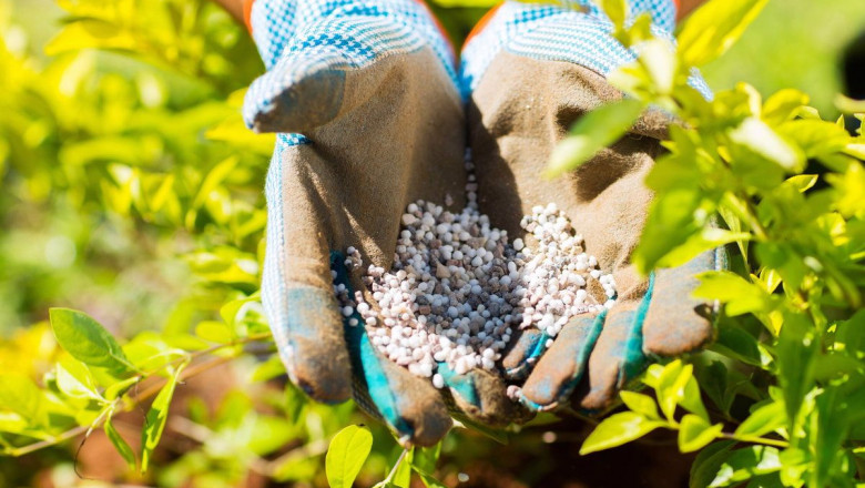 Trends, Share, Size, Growth, Opportunity, and Forecast for the Global Potash Fertilizer Market, 2019-2027