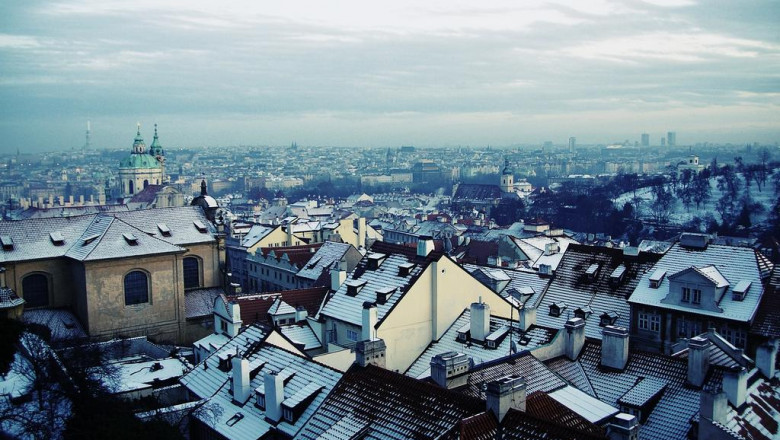 15 best twitter accounts to learn about kala bradina phoremata