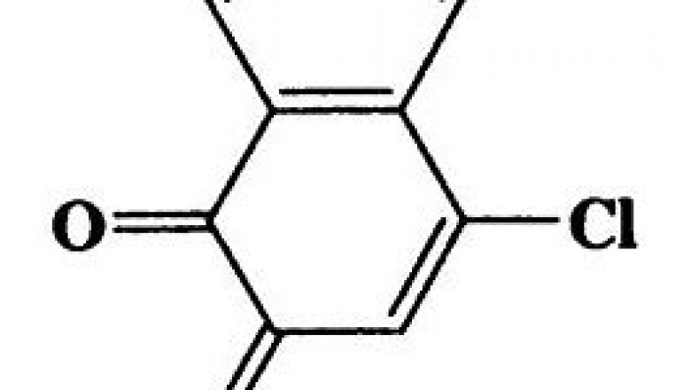 4-Chloronaphthalene-1/2-Dione Market Analysis, Size, Share, Growth and Trends Report To 2028