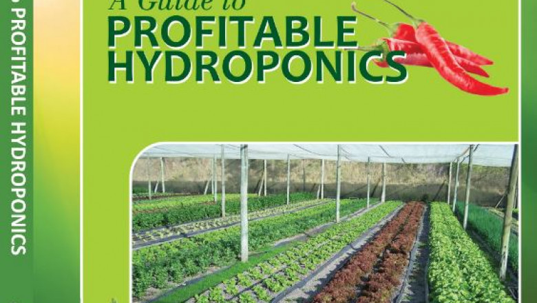 An Everyday Guide to Hydroponics