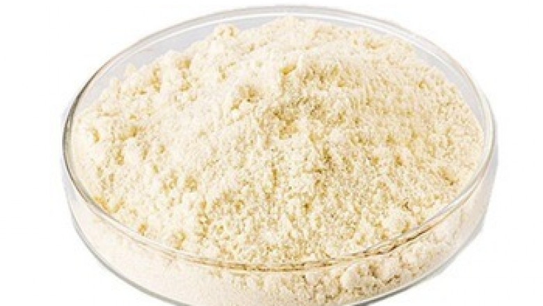 Catechol (CAS 120-80-9) Market Sales Revenue Focus on Specific Product and Dynamics by 2031
