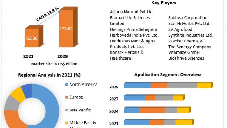 Curcumin Market growth graph to witness upward trajectory during 2029