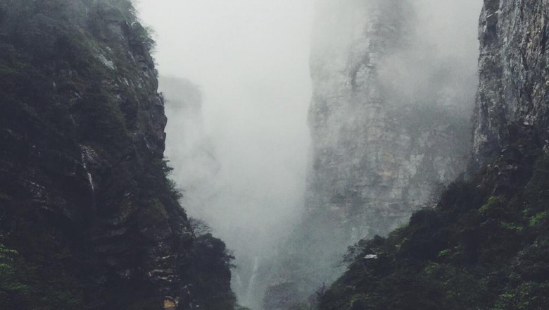 dont make this silly mistake with your runtz og bags