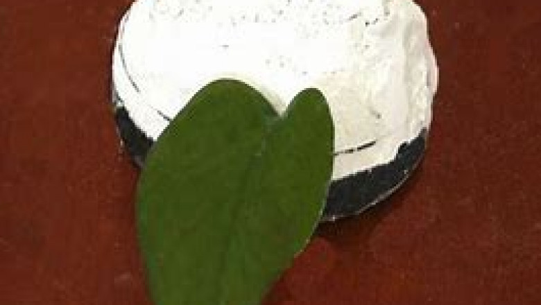 Manganese Dioxide Market Analysis, Size, Share, Growth and Trends Report To 2028