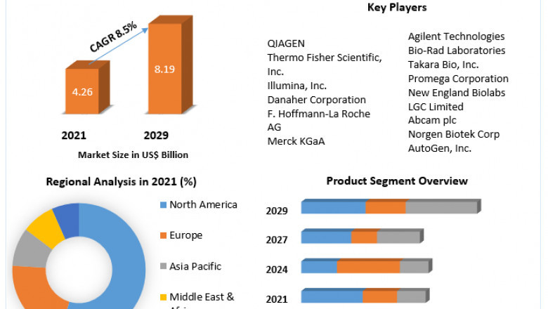 Nucleic Acid Isolation and Purification Market Industry Research on Growth, Trends and Opportunity in 2029