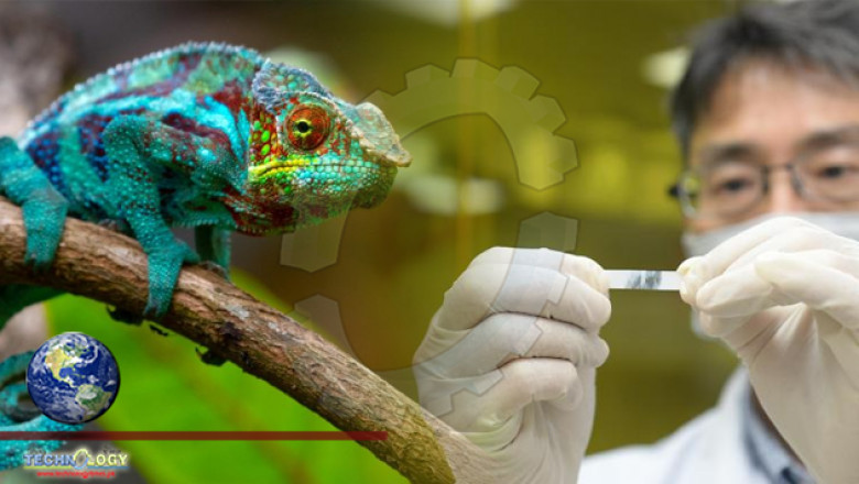 Polymer Chameleons Market: Opportunities on the Horizon by 2030