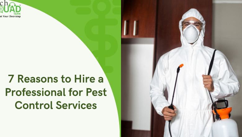 7 Reasons to Hire a Professional for Pest Control Services