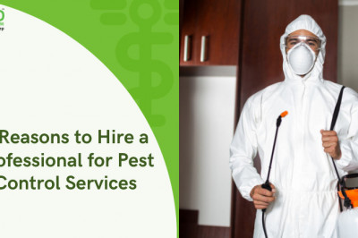 7 Reasons to Hire a Professional for Pest Control Services