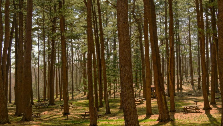 advanced tax planning software and solutions accountant london ontario