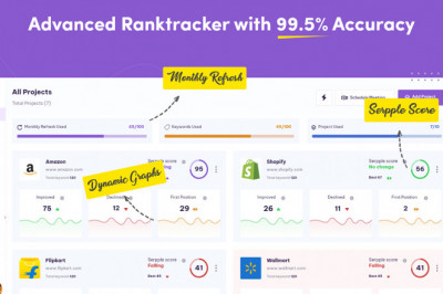 Advanced Website Rank Checker