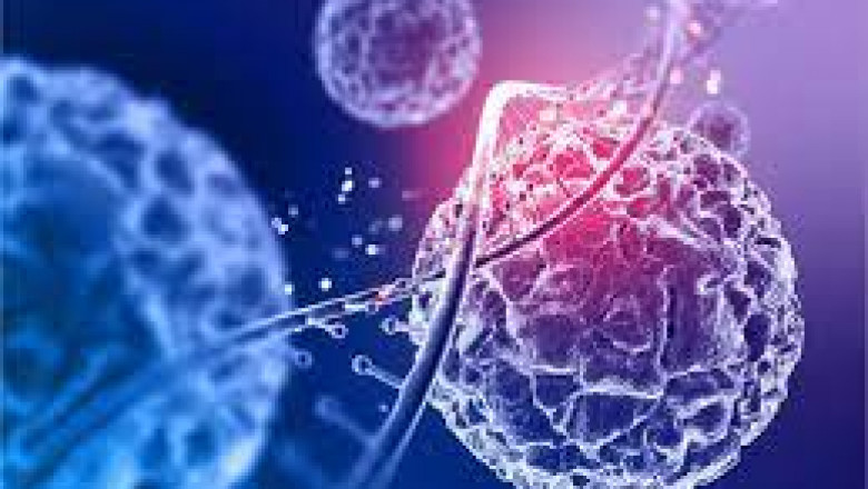 Cell Therapy Market Fundamental Dynamics & Comprehensive Assessment to 2030