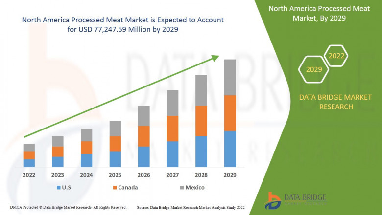Competitive Landscape and North America Processed Meat Market  Share Analysis