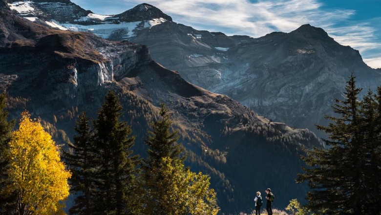 dining room table and chairs for 8 11 thing youre forgetting to do