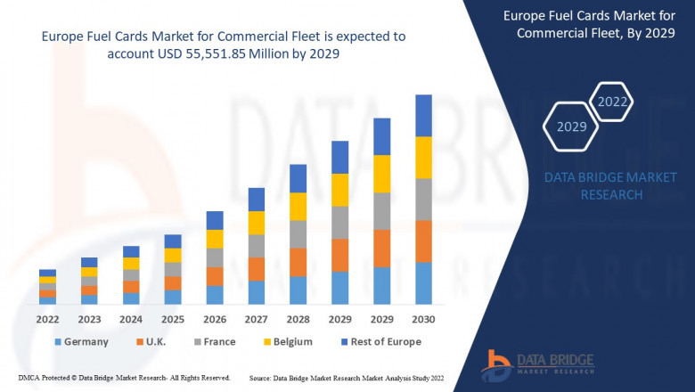 Europe Fuel Cards Market for Commercial Fleet Top Players, current and Future Growth