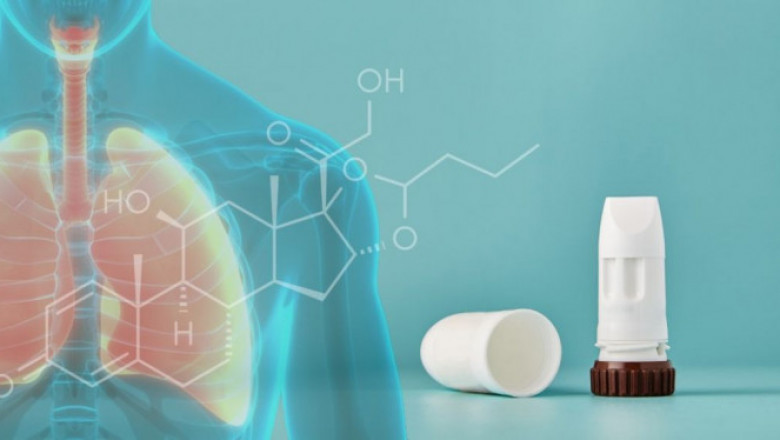 Global Budesonide Market Size, Share, Latest Trades and Growth Analysis Report Till 2028