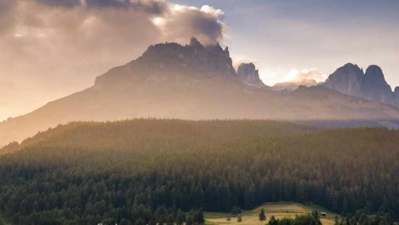 methods to defend your bank card on the web