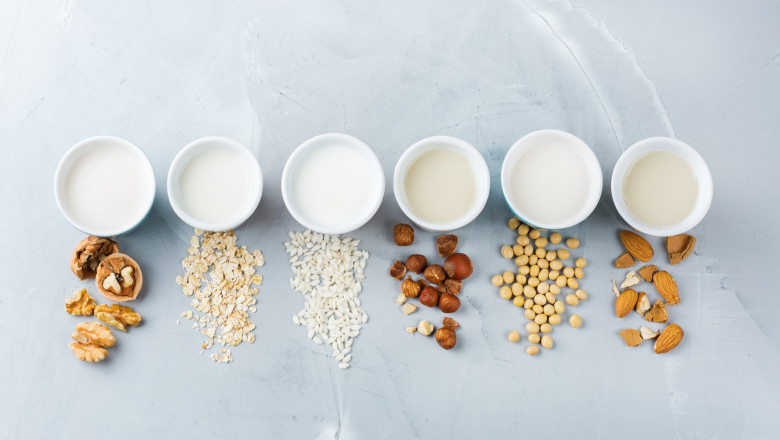 North America Plant Based Milk Market Outlook, 2027
