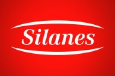 Silanes Market Insight | Outlook | Growth Analysis Report 2022-2028