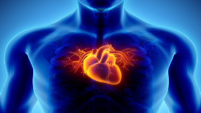 Things to know about Coronary Artery Disease Therapeutics