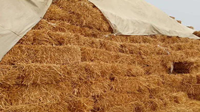 Wheat Straw Pulp Market Share, Revenue and Growth Analysis Report Till 2028 | Value Market Research